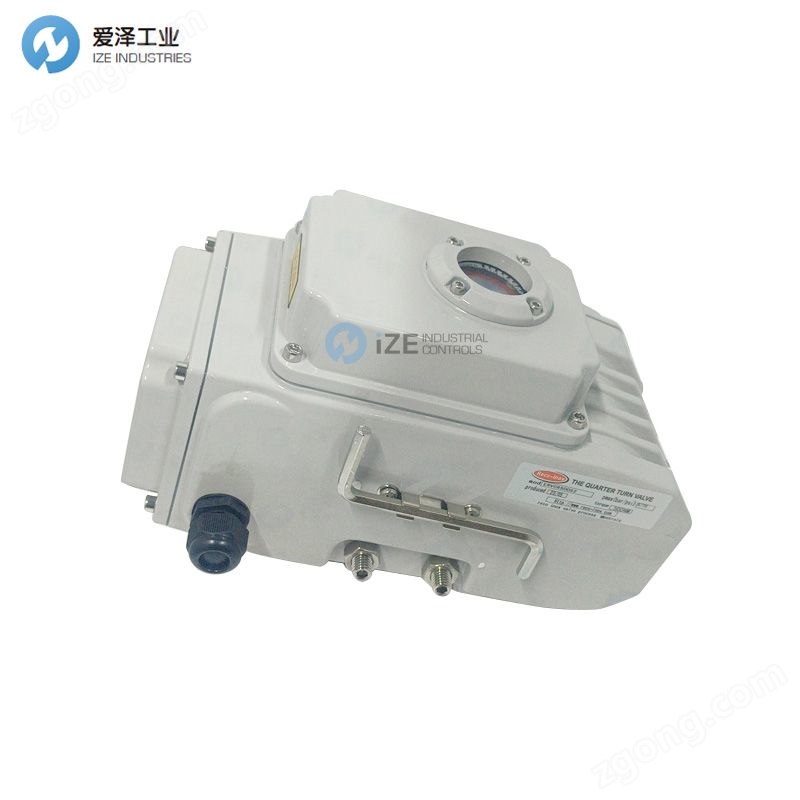 RECO執(zhí)行器 愛澤工業(yè) izeindustries (17).jpg RECO-INOX執(zhí)行器ERVC40-5300600-10