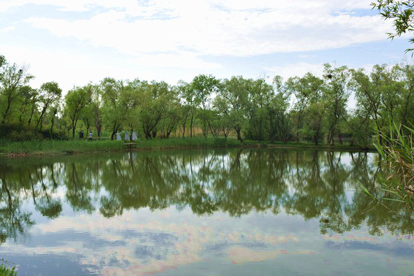 《江苏省检验检测条例》全文公布，2026年1月1日起施行！